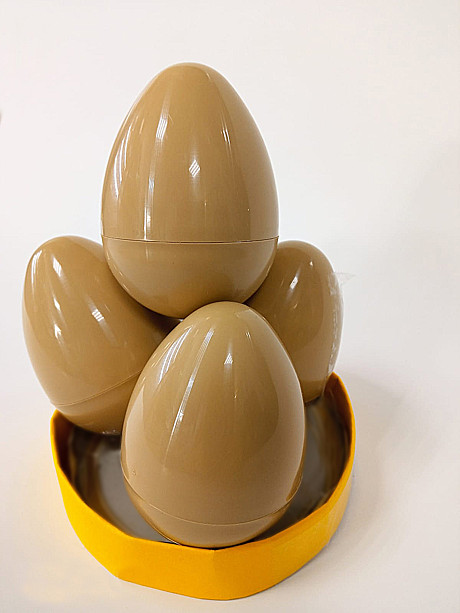 Яйцо подкладное куриное БРИГ /20